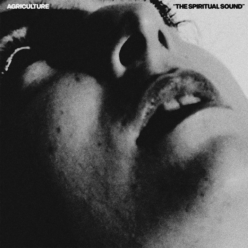 Agriculture - The spiritual sound (LP) - Velvet Music