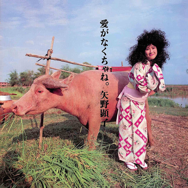 Akiko Yano - Ai ga nakucha ne (CD) - Velvet Music