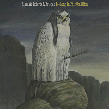 Alasdair Roberts & Friends - Too long in this condition (LP) - Velvet Music