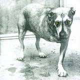 Alice In Chains - Alice in chains (LP) - Velvet Music
