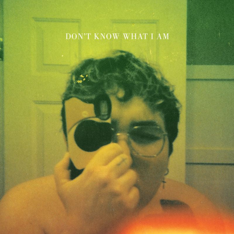 Alien Boy - Don't know what i am (LP)