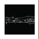 Amenra - De doorn (LP) - Velvet Music