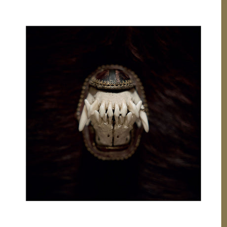 Amenra - De toorn (CD) - Velvet Music