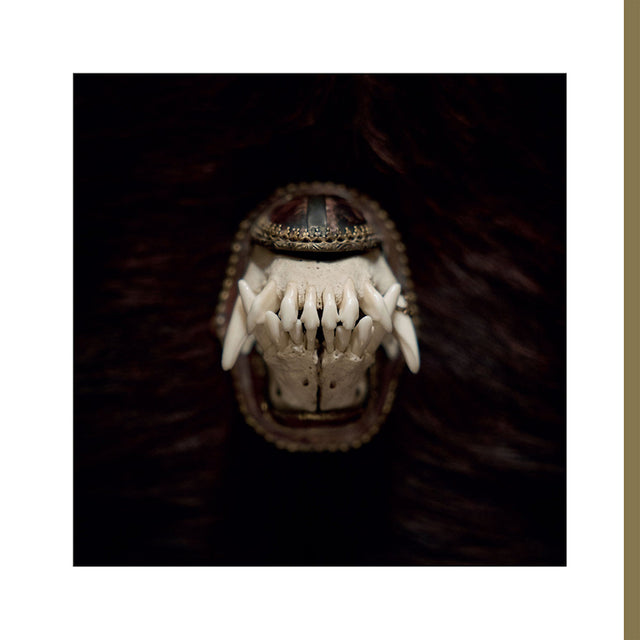 Amenra - De toorn (CD) - Velvet Music