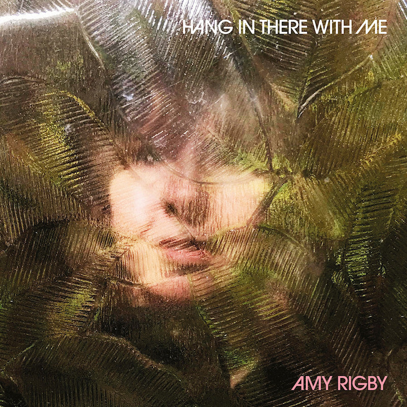 Amy Rigby - Hang in there with me (CD) - Velvet Music