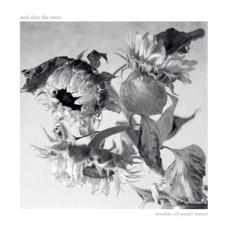 And Also The Trees - Mother-of-pearl moon (CD) - Velvet Music