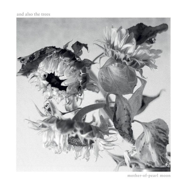 And Also The Trees - Mother-of-pearl moon (CD) - Velvet Music