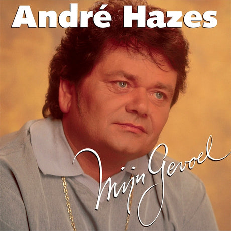 Andre Hazes - Mijn gevoel (LP) - Velvet Music