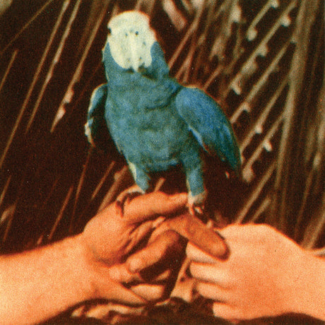 Andrew Bird - Are you serious (CD) - Velvet Music