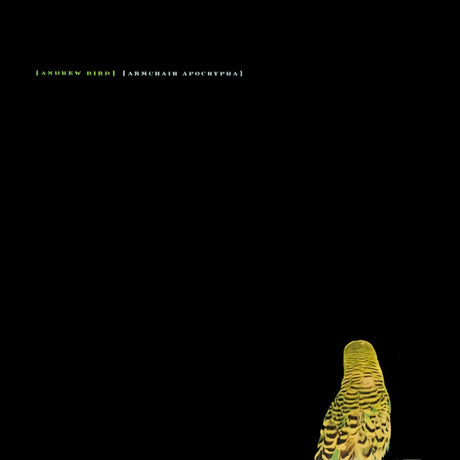 Andrew Bird - Armchair apocrypha (LP) - Velvet Music