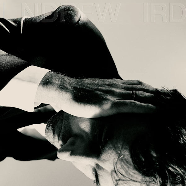 Andrew Bird - Inside problems (LP)