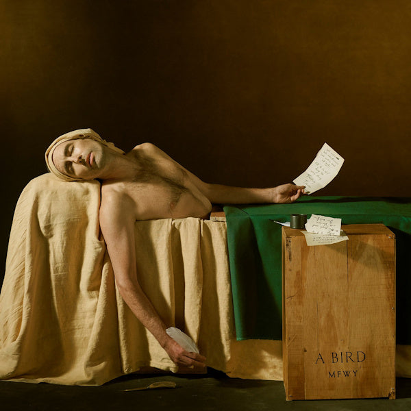 Andrew Bird - My finest work yet (LP) - Velvet Music
