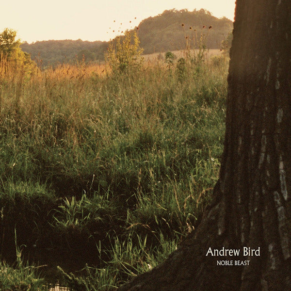 Andrew Bird - Noble beast (LP)