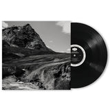 Andrew Bird - Outside problems (LP) - Velvet Music