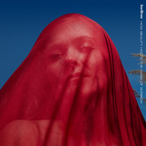 Ane Brun - How beauty holds the hand of sorrow (CD)