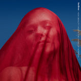 Ane Brun - How beauty holds the hand of sorrow (CD)
