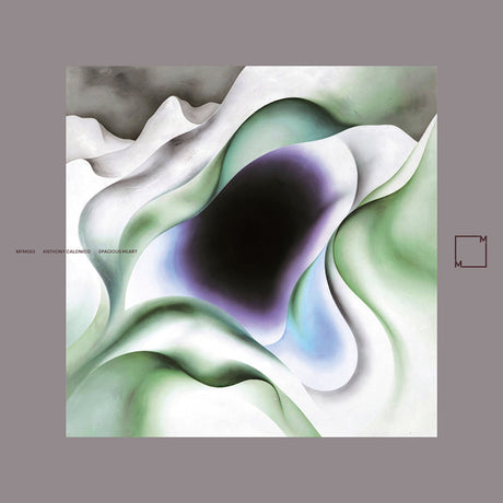 Anthony Calonico - Spacious heart (CD) - Velvet Music