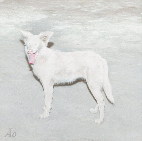 Ao - Malandra (12-inch maxi-single) - Velvet Music