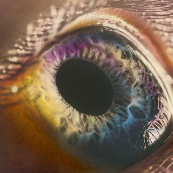 Arcade Fire - WE (LP) - Velvet Music