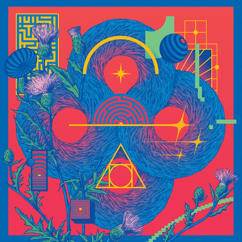 Arcane Allies - Aestesia (black) (LP) - Velvet Music