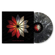 Archetypes Collide - Archetypes collide (LP) - Velvet Music