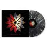Archetypes Collide - Archetypes collide (LP) - Velvet Music