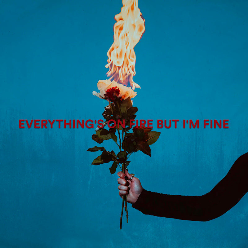 As December Falls - Everything's on fire but i'm fine (LP) - Velvet Music