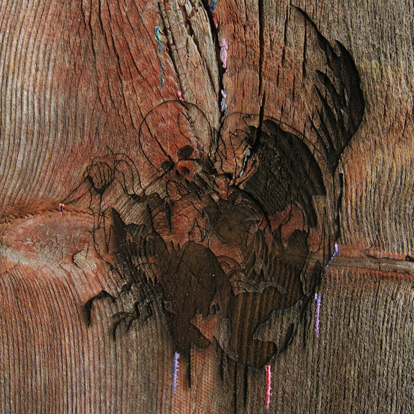 Avey Tare's Slasher Flicks - Enter the slasher house (LP) - Velvet Music