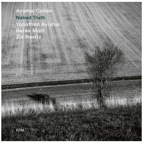 Avishai Cohen - Naked truth (CD) - Velvet Music
