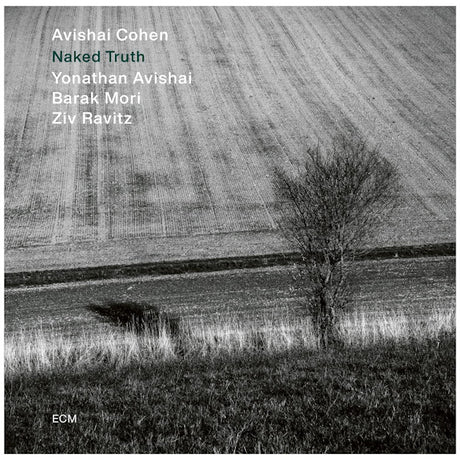 Avishai Cohen - Naked truth (CD) - Velvet Music