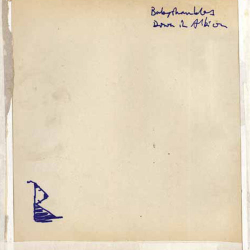 Babyshambles - Down in albion (LP)