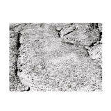 Daniel Bachman - Grey-black-green (LP)