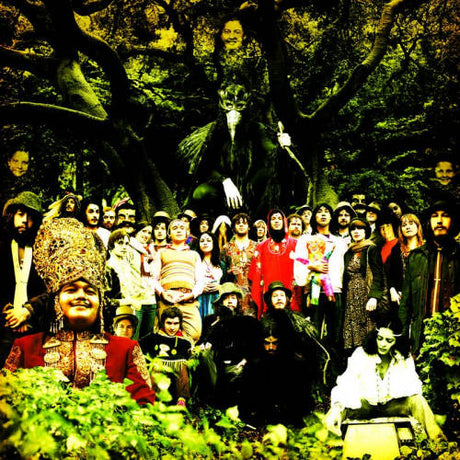 Devendra Banhart - Cripple crow (LP) - Velvet Music