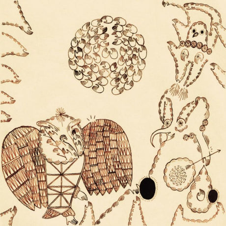 Devendra Banhart - Rejoicing in the hands (CD)