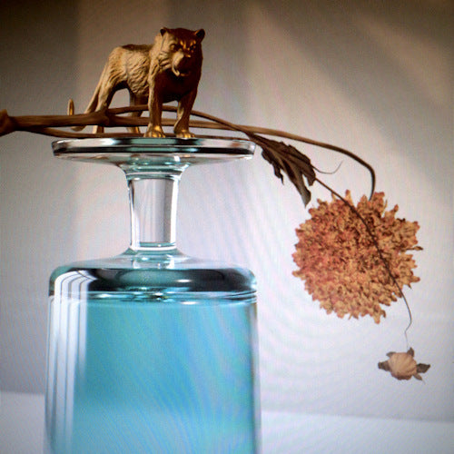 Beirut - Gallipoli (LP) - Velvet Music