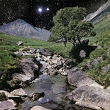 Beta Band - Beta band (CD) - Velvet Music