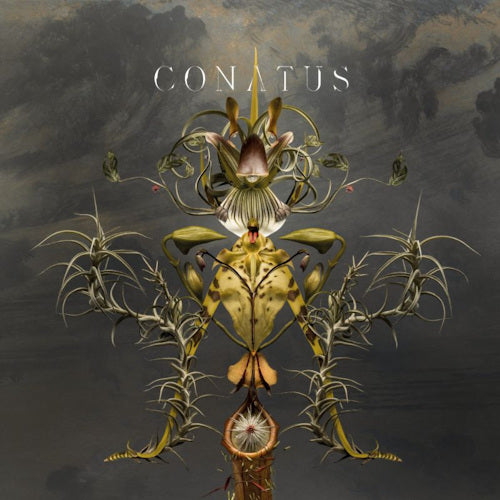 Joep Beving - Conatus (LP)