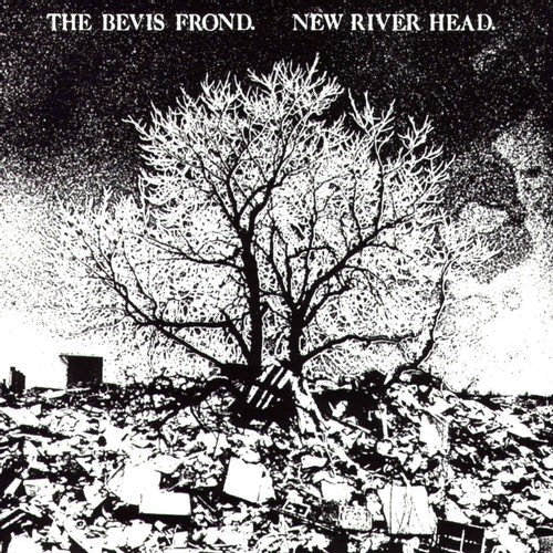 Bevis Frond - New river head (CD)