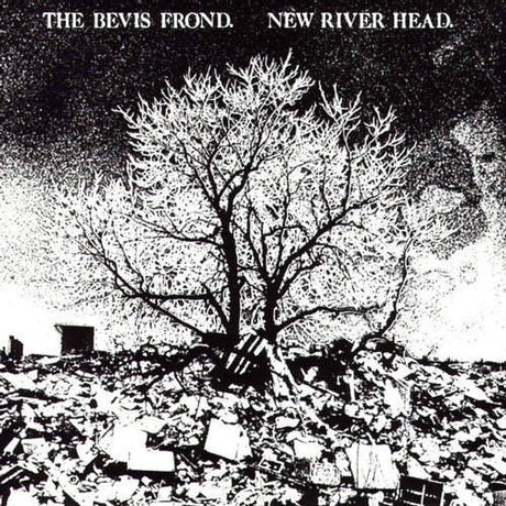 Bevis Frond - New river head (CD)