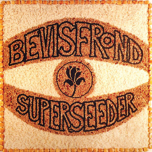 Bevis Frond - Superseeder (LP) - Velvet Music