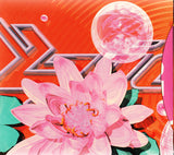 Björk - Post (tweedehands CD) - Velvet Music