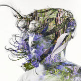 Bibio - Ribbons (LP) - Velvet Music
