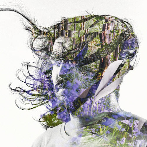 Bibio - Ribbons (LP) - Velvet Music