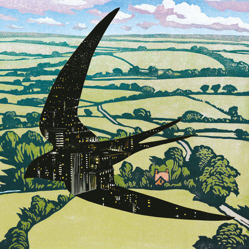 Bibio - Sleep on the wing (LP) - Velvet Music