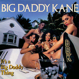 Big Daddy Kane - It's a big daddy thing (CD) - Velvet Music