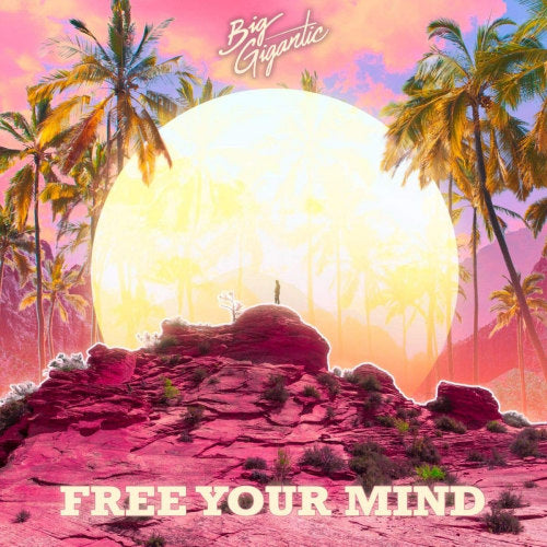 Big Gigantic - Free your mind (LP) - Velvet Music