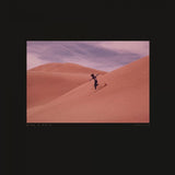 Bing & Ruth - Species (CD) - Velvet Music