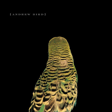 Andrew Bird - Armchair apocrypha (CD) - Velvet Music