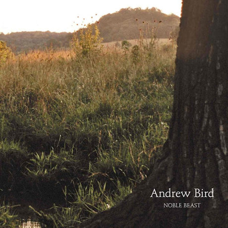 Andrew Bird - Noble beast (LP)