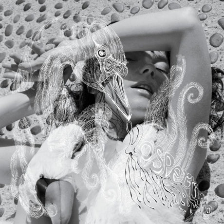 Bjork - Vespertine (LP) - Velvet Music